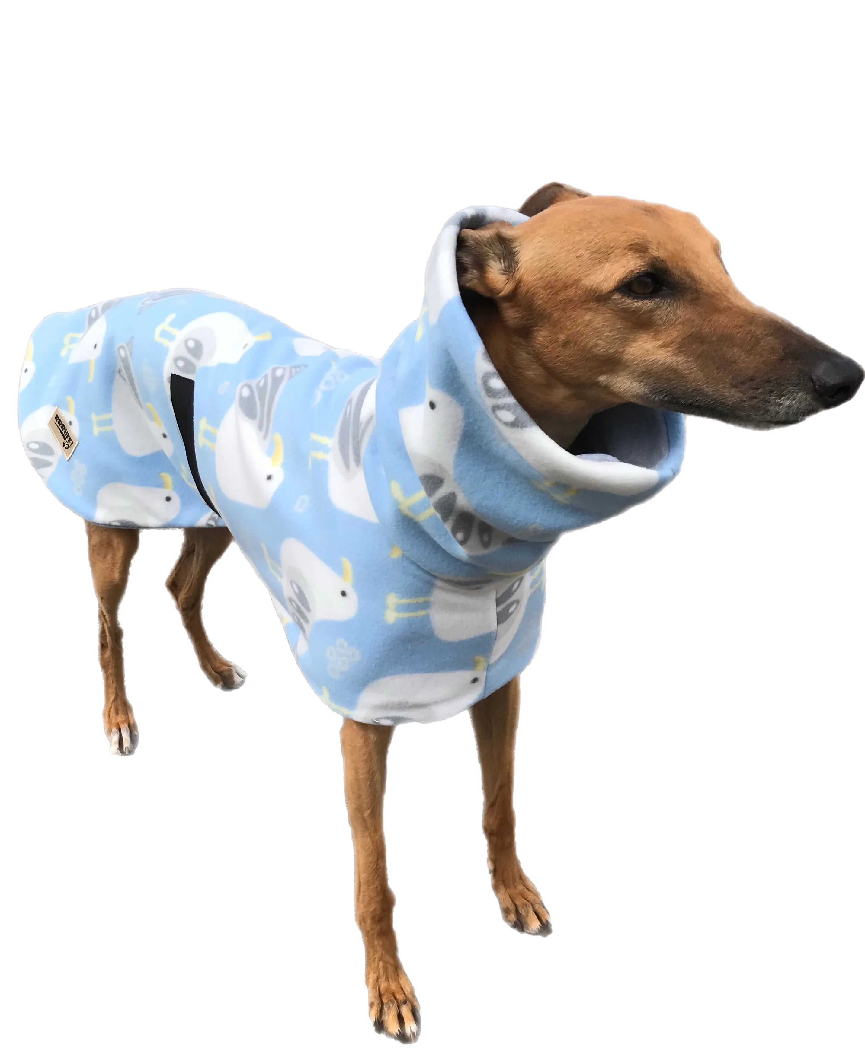 Autumn lightweight deluxe style greyhound coat with snuggly wide roll up or down neck roll