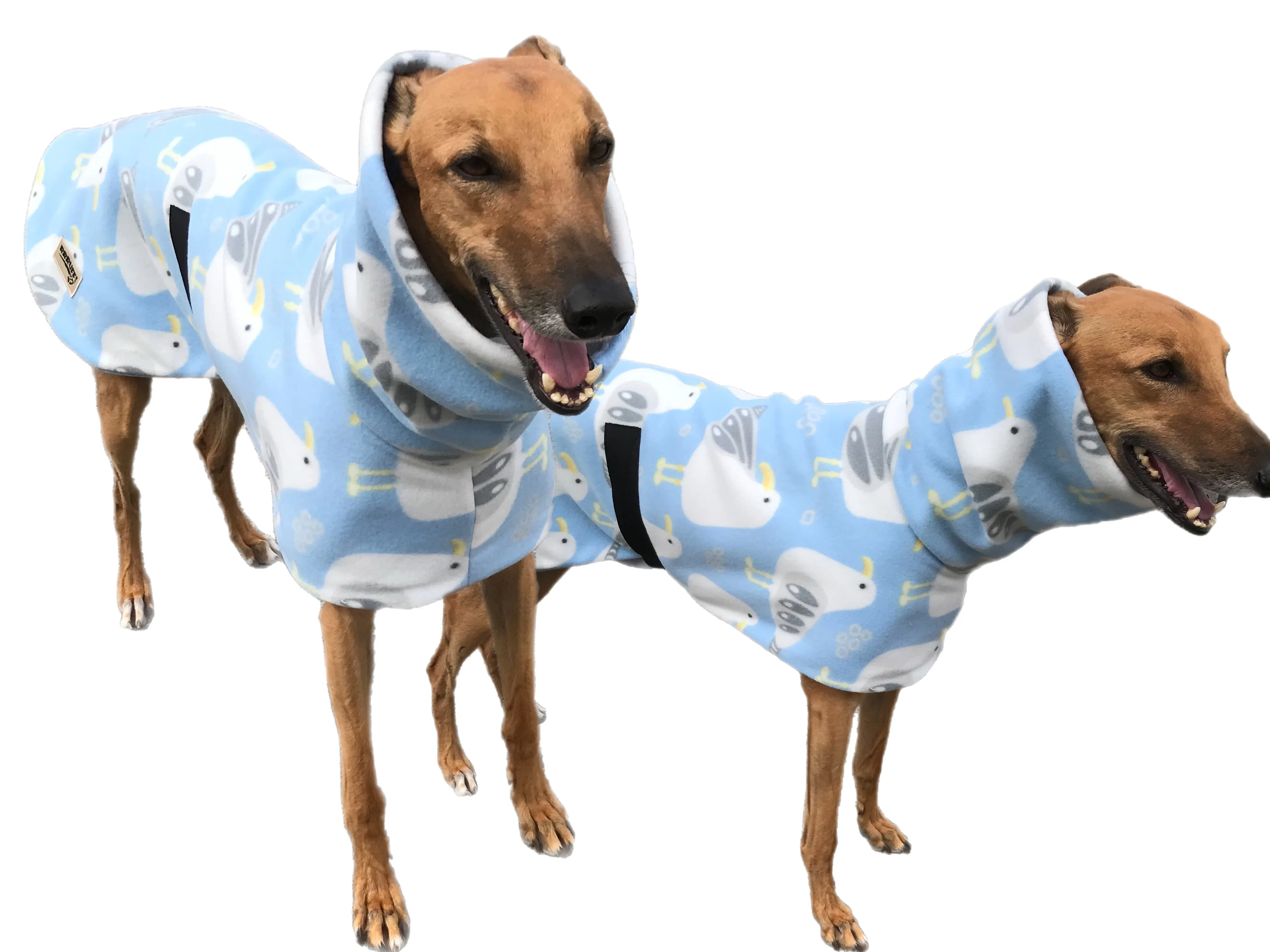 Autumn lightweight deluxe style greyhound coat with snuggly wide roll up or down neck roll