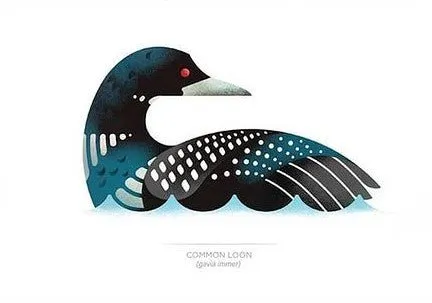 Common Loon Print (5" x 7")