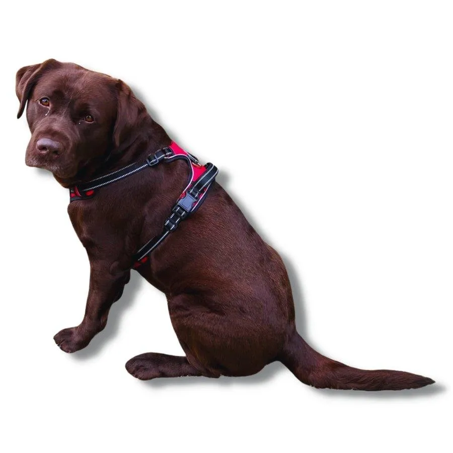 Fur King Ultimate No Pull Dog Harness