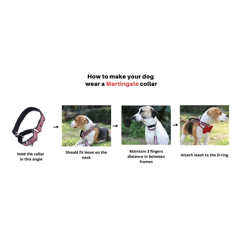 Harry Potter Friends Of Harry Potter Martingale Collar for Dogs