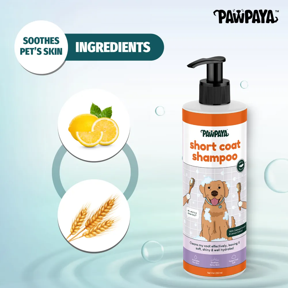 Pawpaya Short Coat Shampoo for Dogs