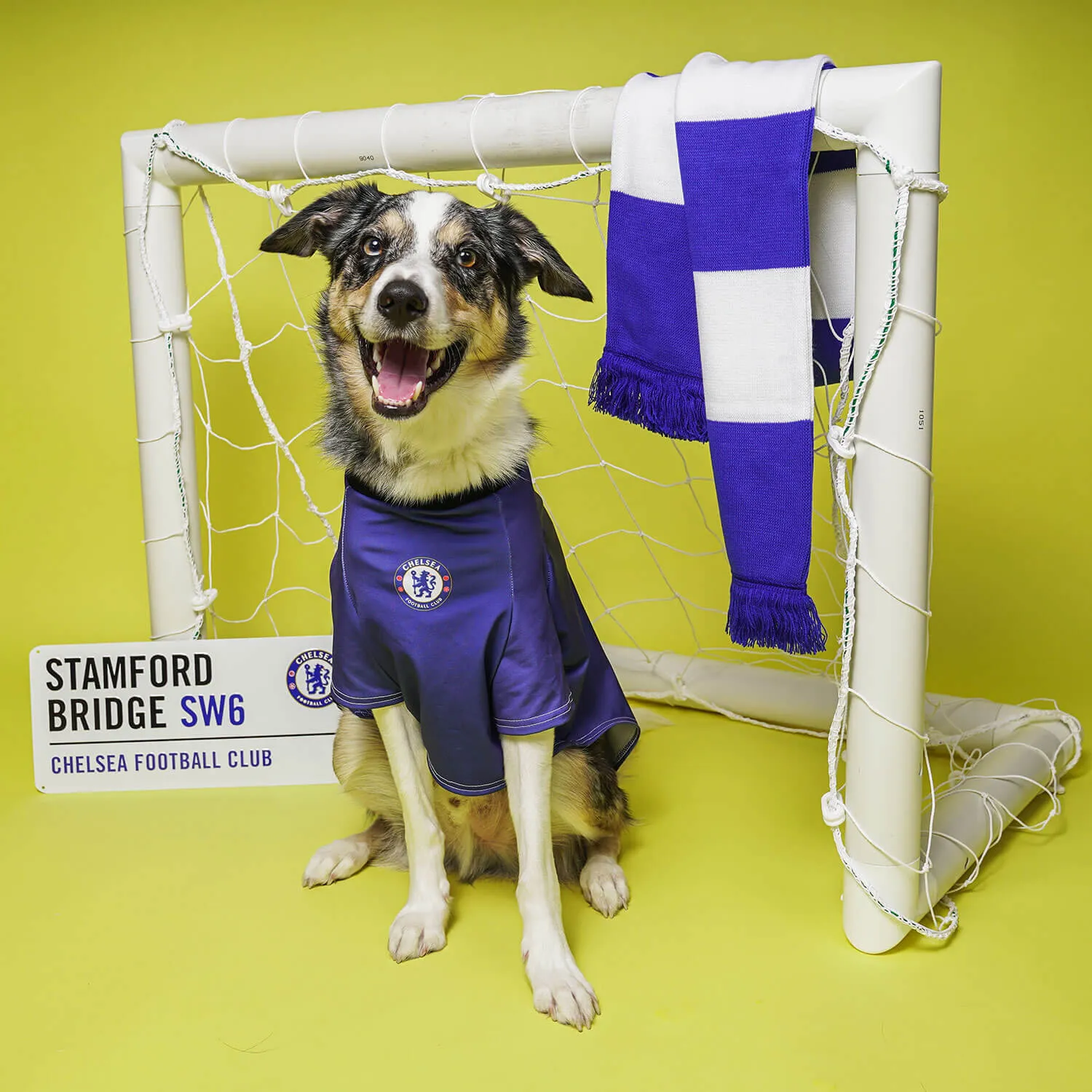 Personalised Chelsea Dog Shirt