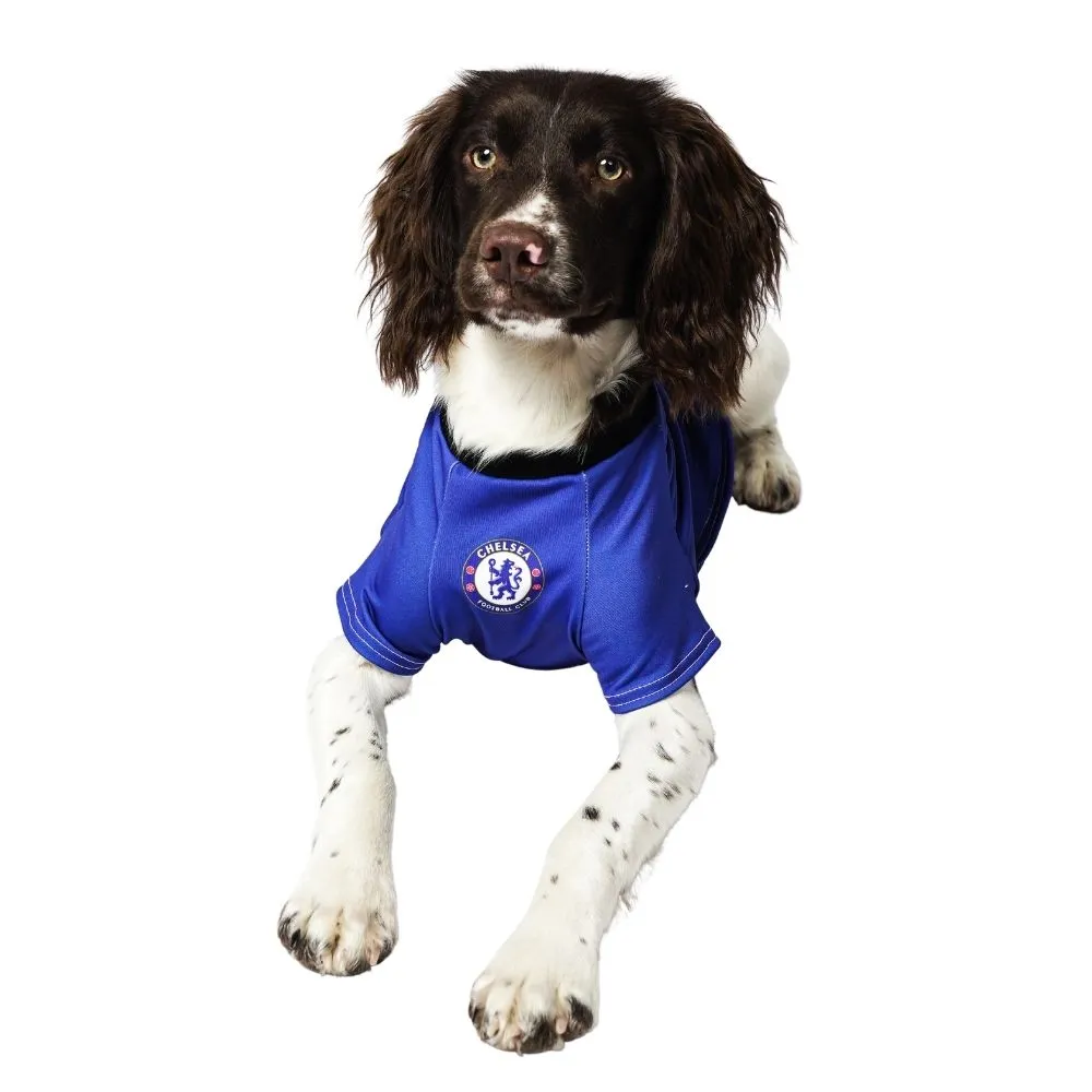 Personalised Chelsea Dog Shirt