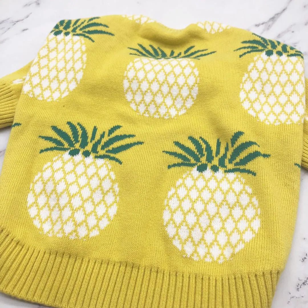 Pineapple Pup Frenchie Sweater