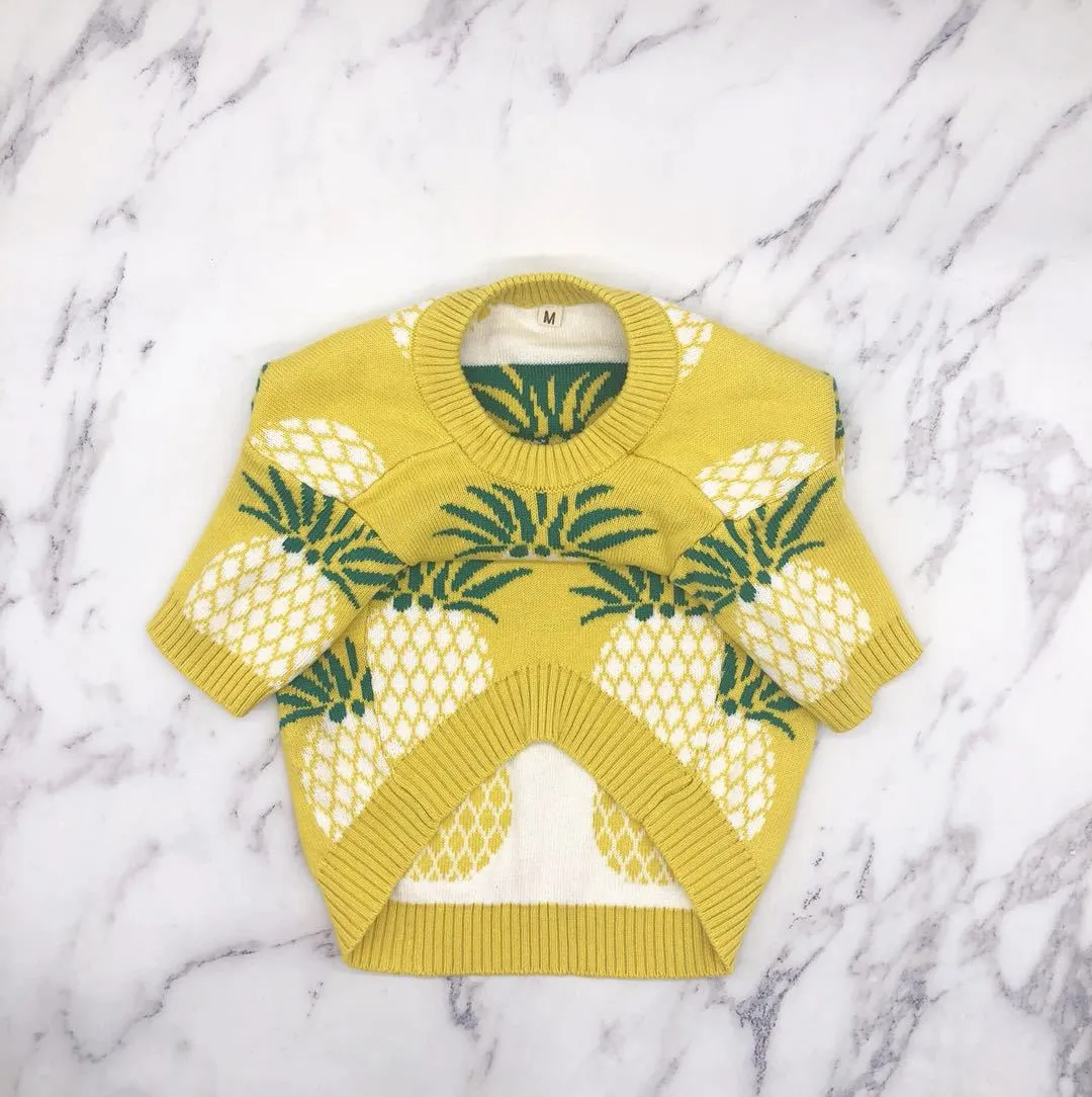 Pineapple Pup Frenchie Sweater