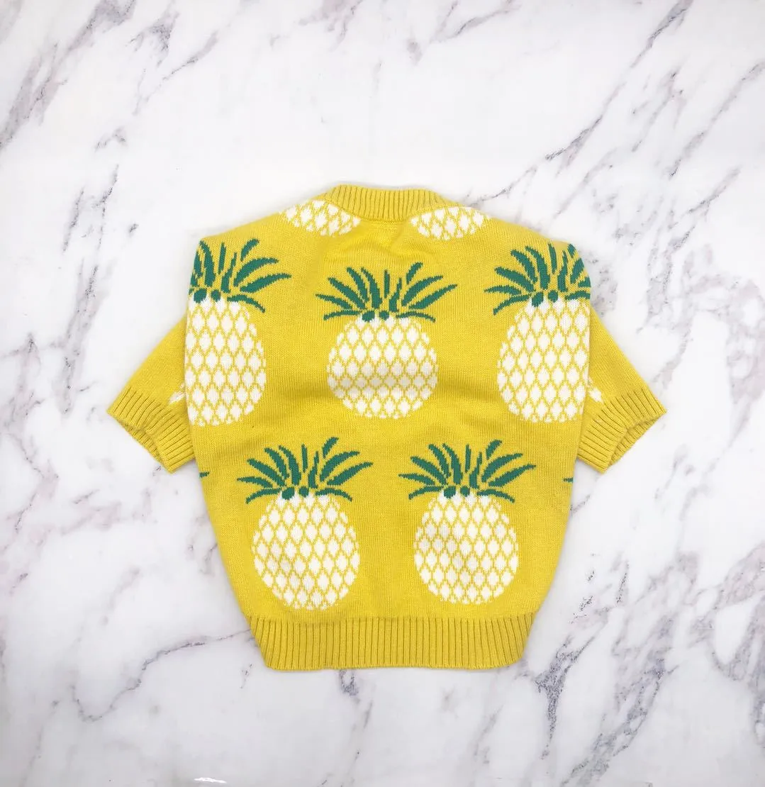 Pineapple Pup Frenchie Sweater