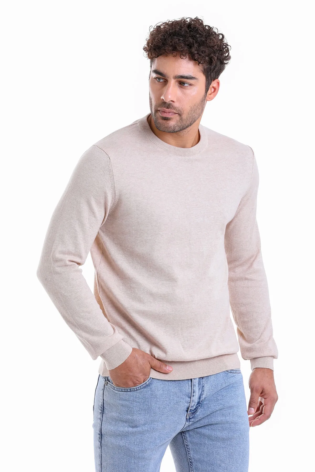 Regular Fit Cotton Beige Crewneck Sweater