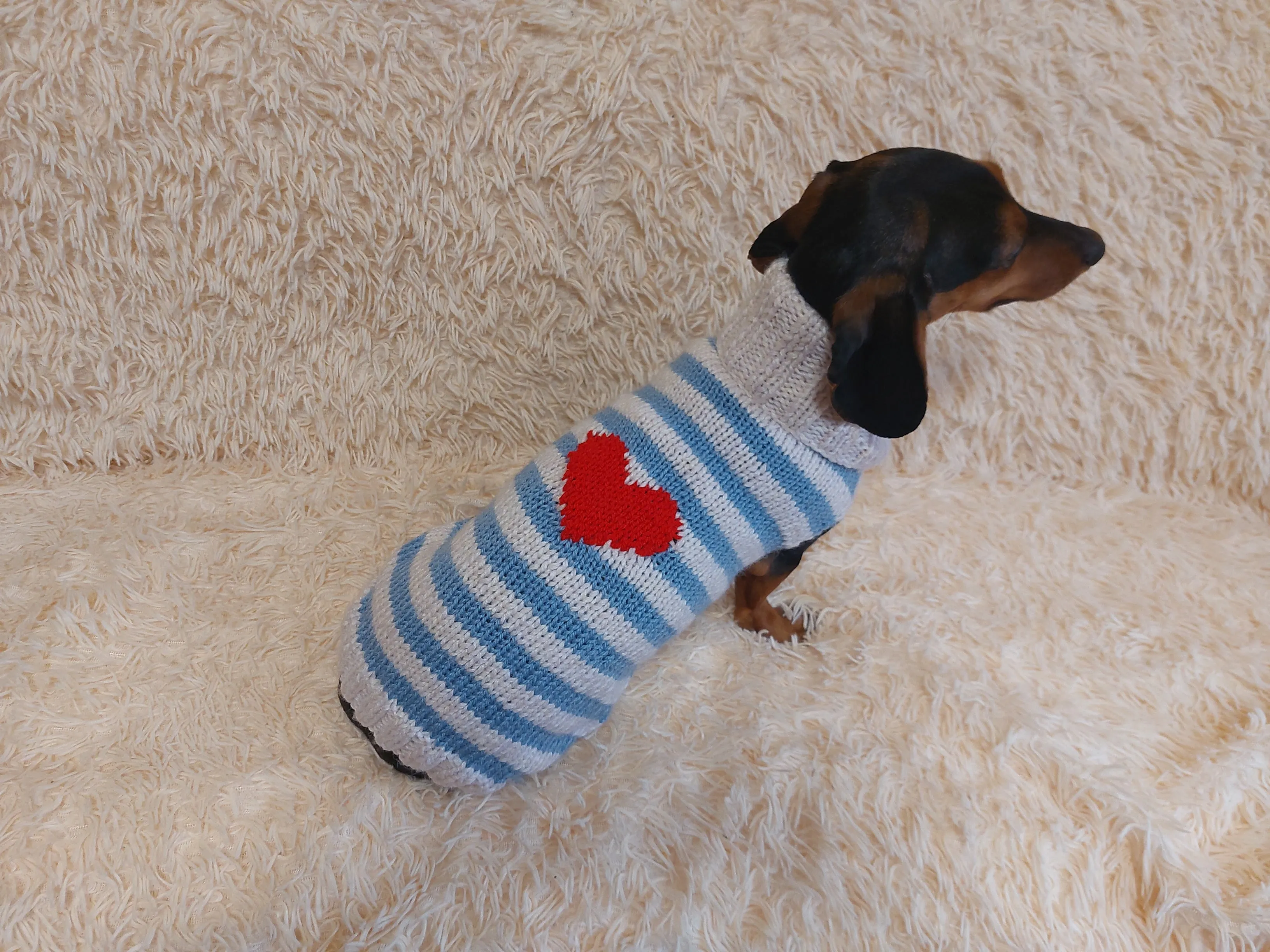 Sweater with hearts, wool sweatshirt for dog, hoodie for dachshund with heart