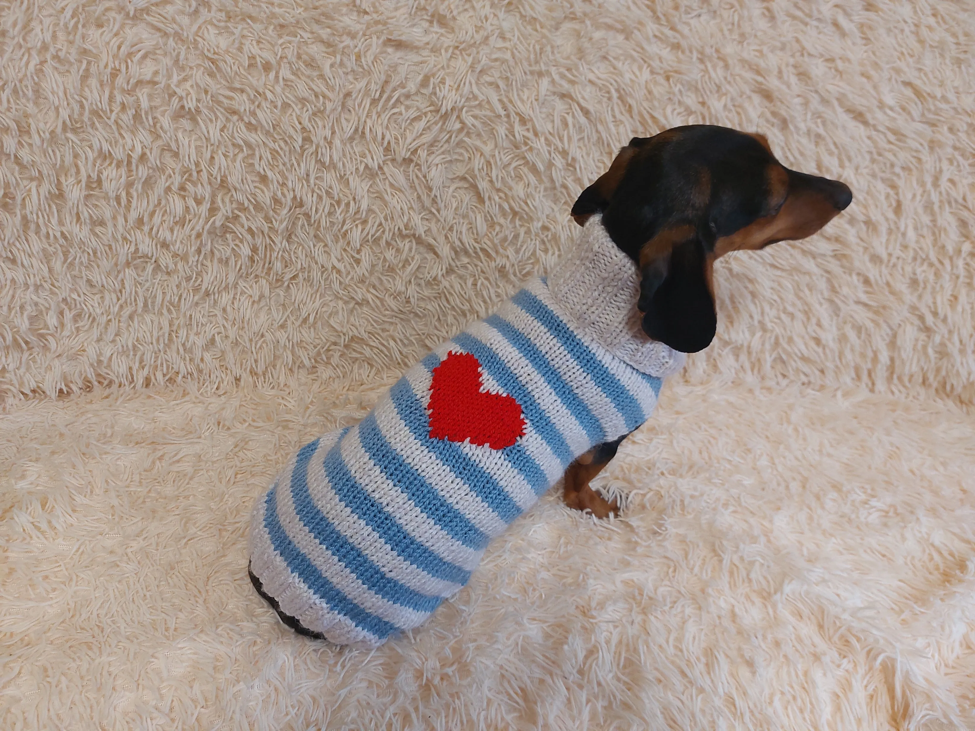 Sweater with hearts, wool sweatshirt for dog, hoodie for dachshund with heart