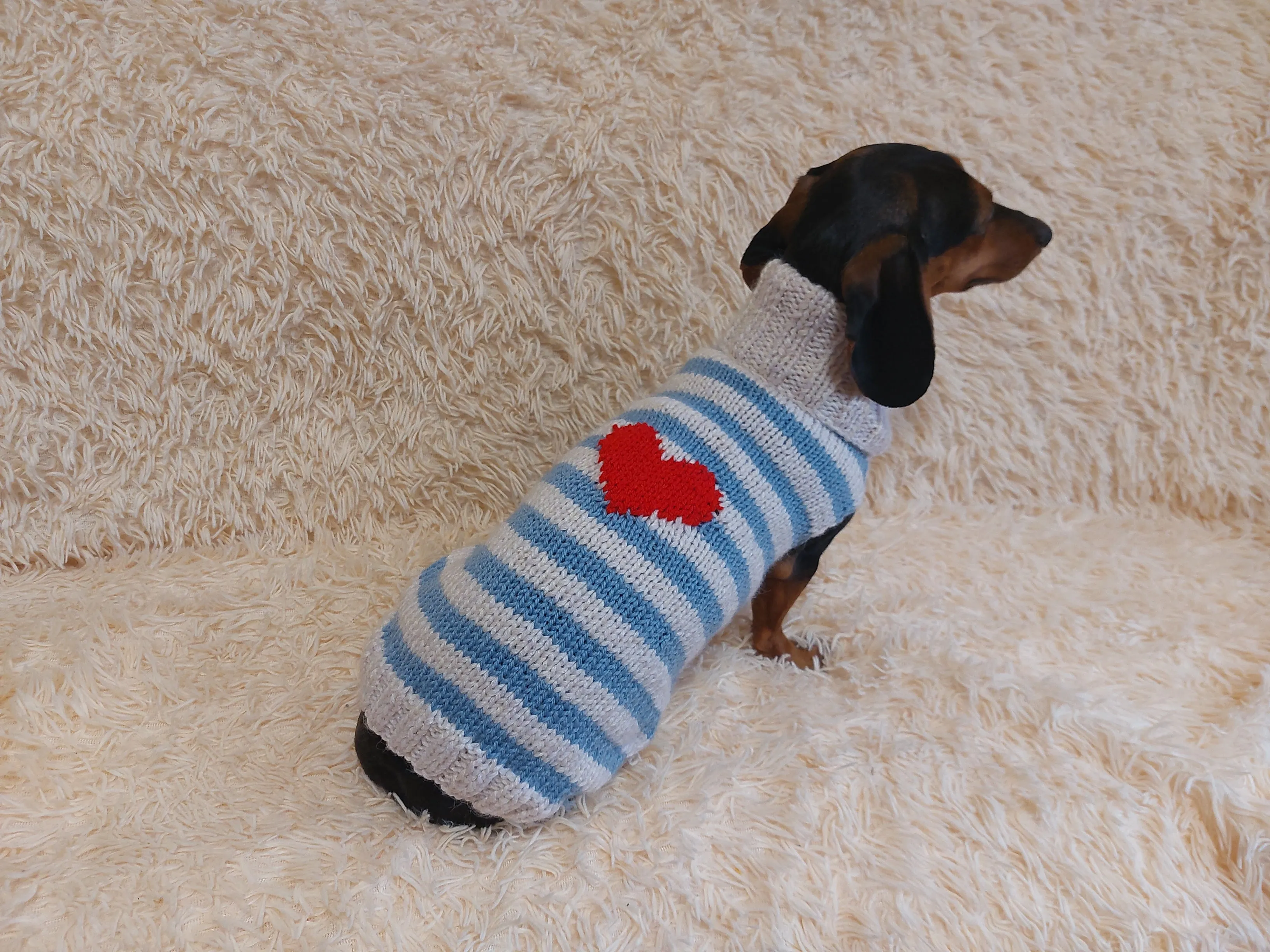 Sweater with hearts, wool sweatshirt for dog, hoodie for dachshund with heart