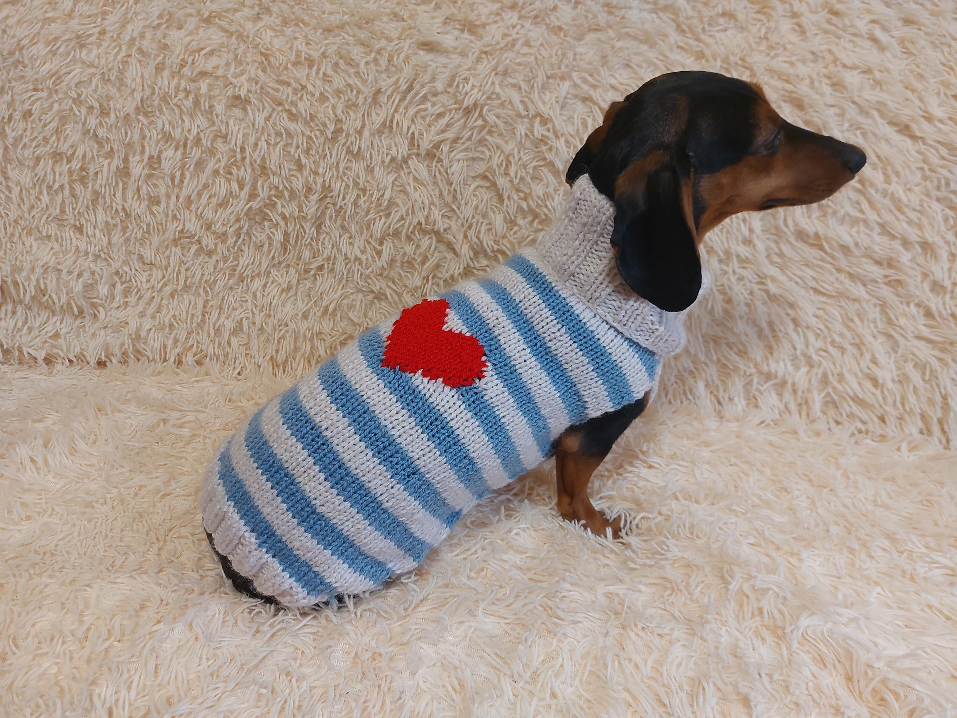 Sweater with hearts, wool sweatshirt for dog, hoodie for dachshund with heart