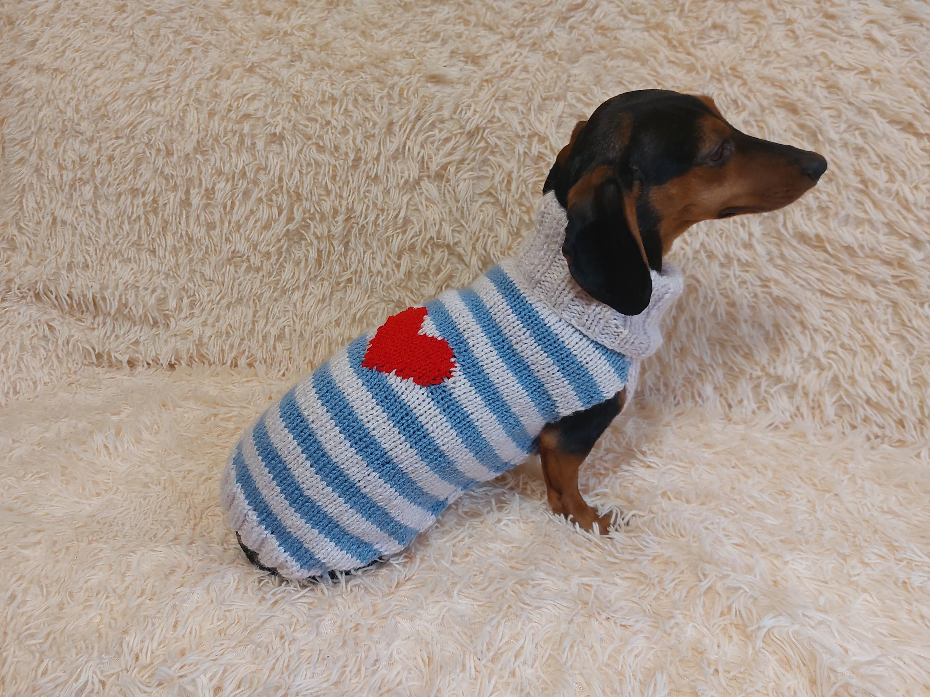 Sweater with hearts, wool sweatshirt for dog, hoodie for dachshund with heart